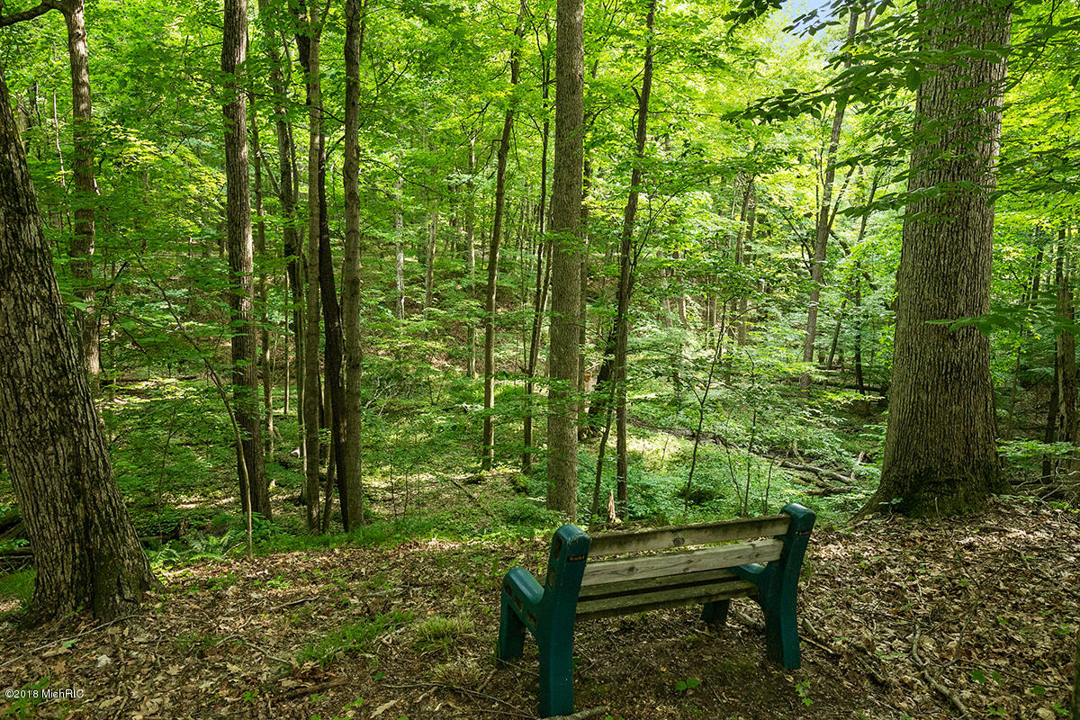 9530 Ravine Ridge Drive Southeast Caledonia, MI 49316 - Photo 52 of 66 Private and Natural