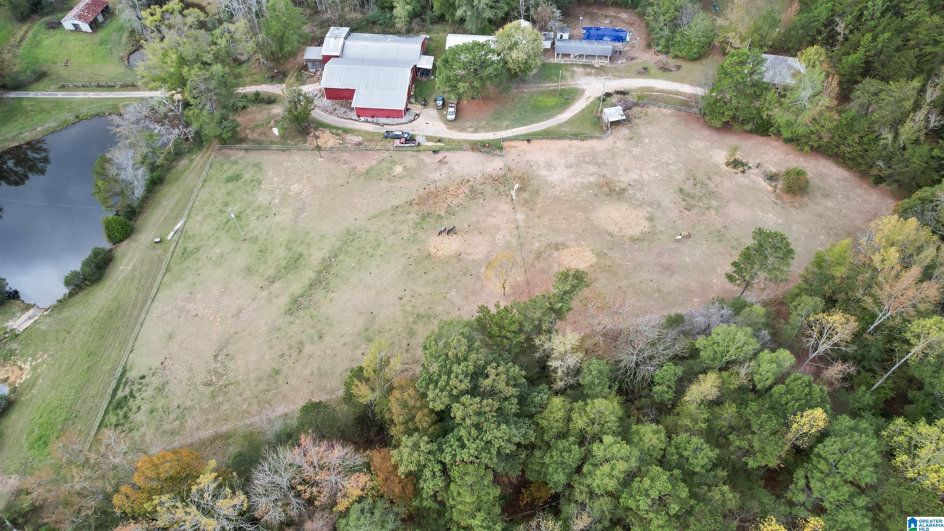 9406 County Road 51 Jemison, AL 35085 - Photo 47 of 58