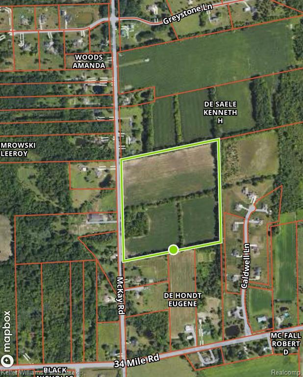 73636 McKay Road Romeo, MI 48065 - Photo 3 of 22