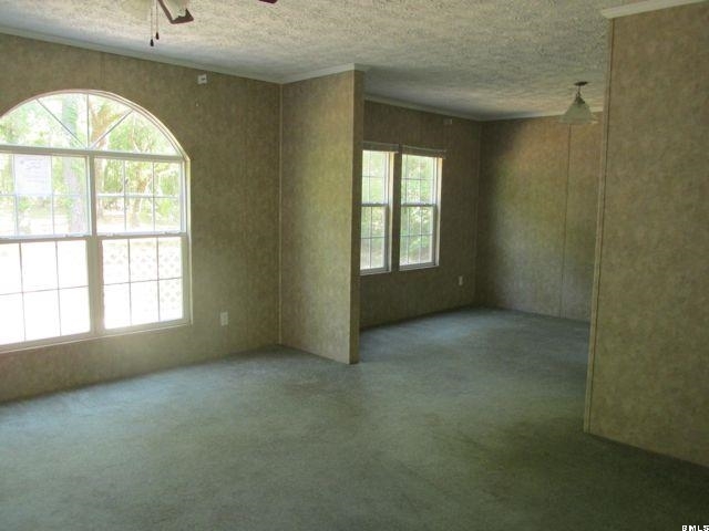 32 Leo Green Road Beaufort, SC 29906 - Photo 4 of 10 Additional Photo