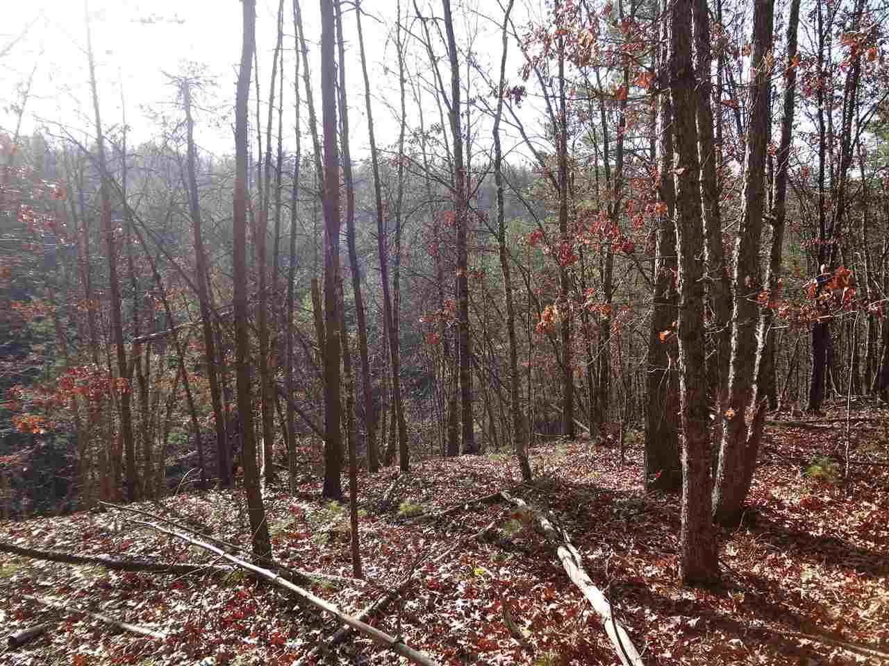 Tbd Lands Of Goshen Road Goshen, VA 24439 - Photo 6 of 8 Gallery Image 6