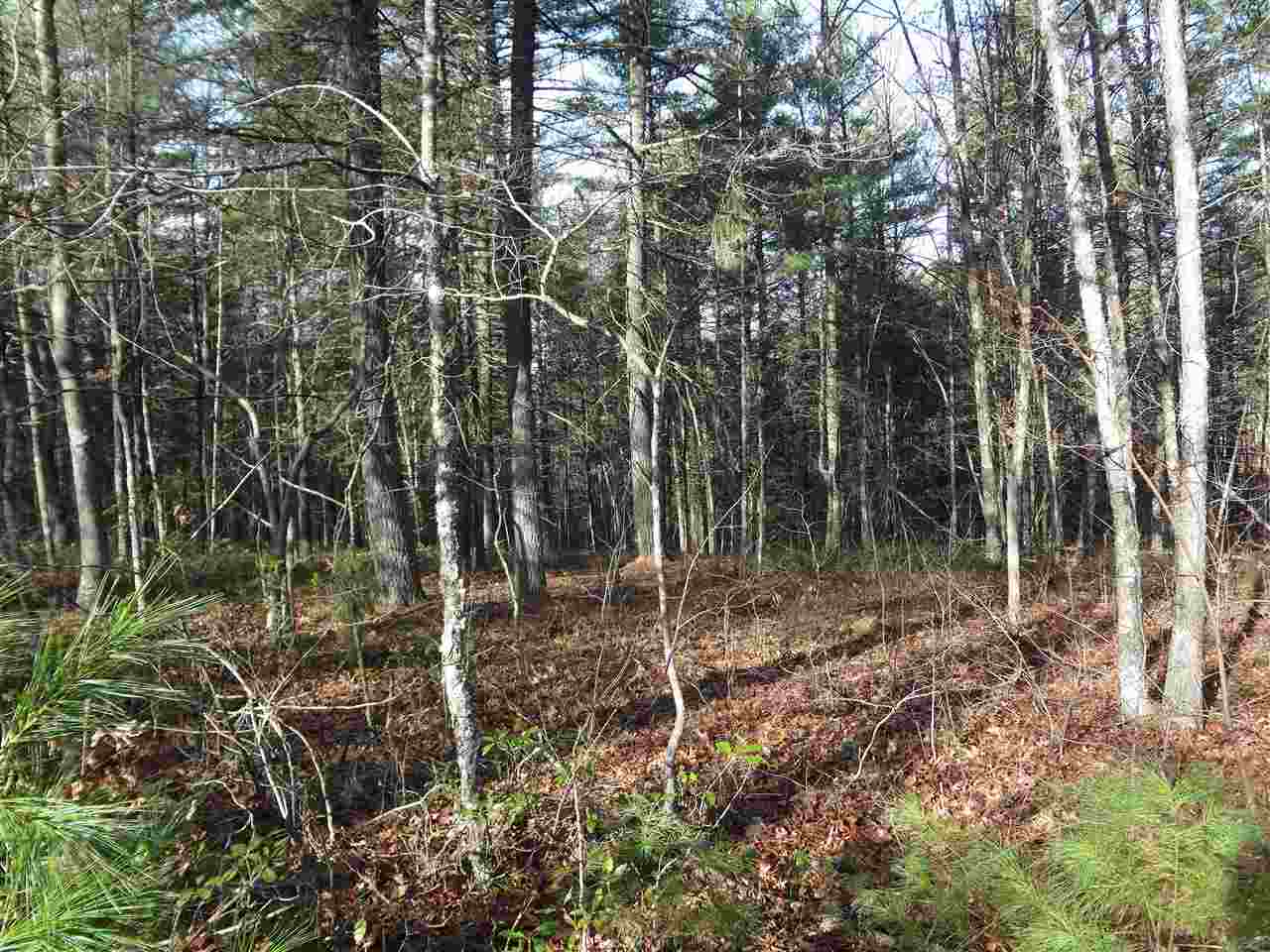 Tbd Lands Of Goshen Road Goshen, VA 24439 - Photo 7 of 8 Gallery Image 7
