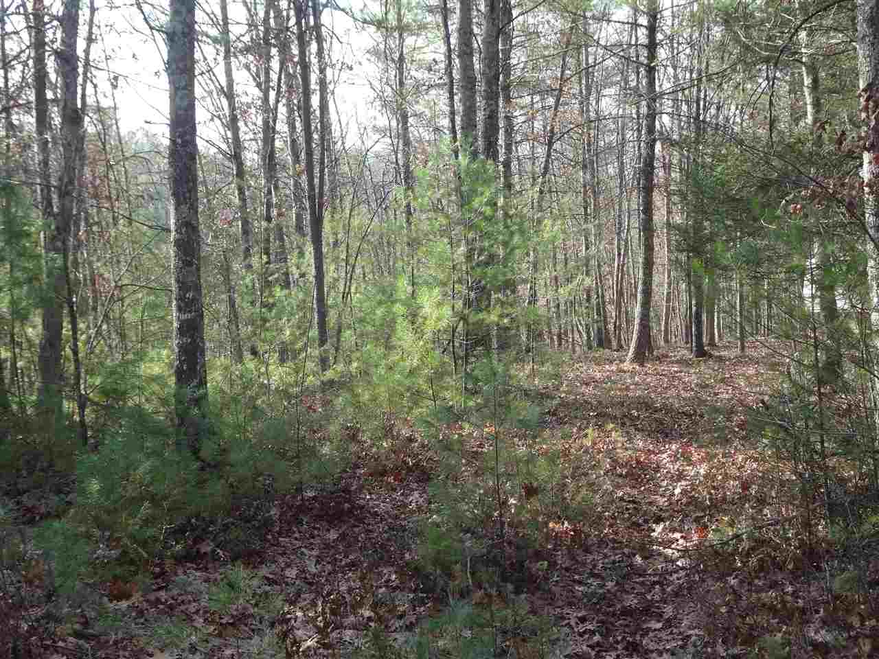 Tbd Lands Of Goshen Road Goshen, VA 24439 - Photo 8 of 8 Gallery Image 8