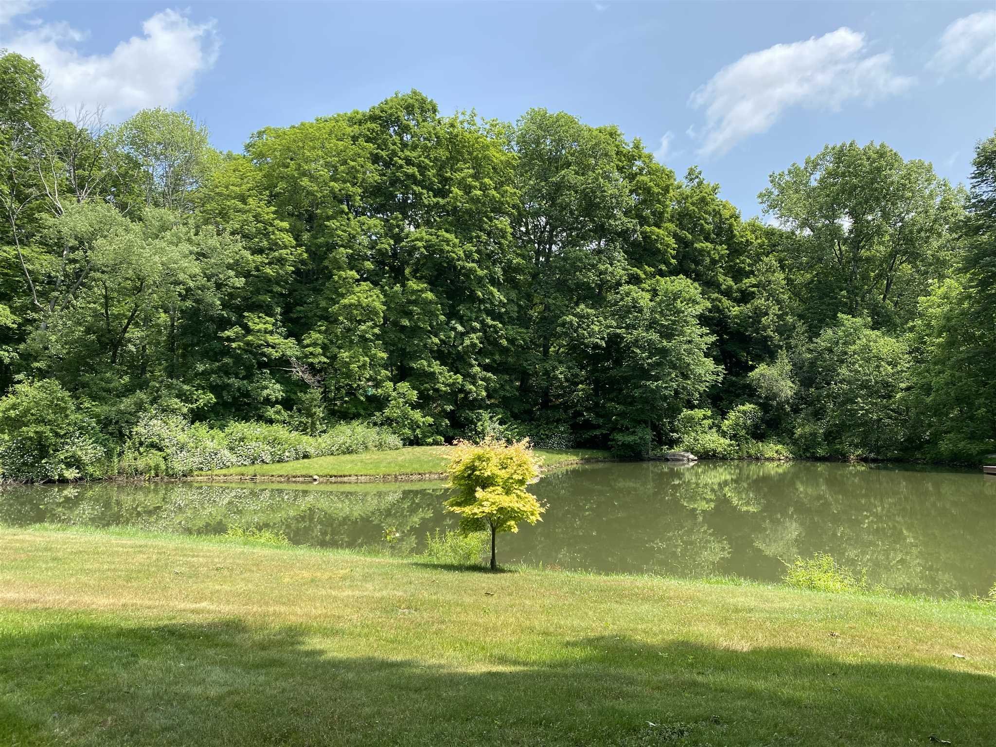 31 Robinson Road Salt Point, NY 12578 - Photo 4 of 27 a swimming pool with wooden fence