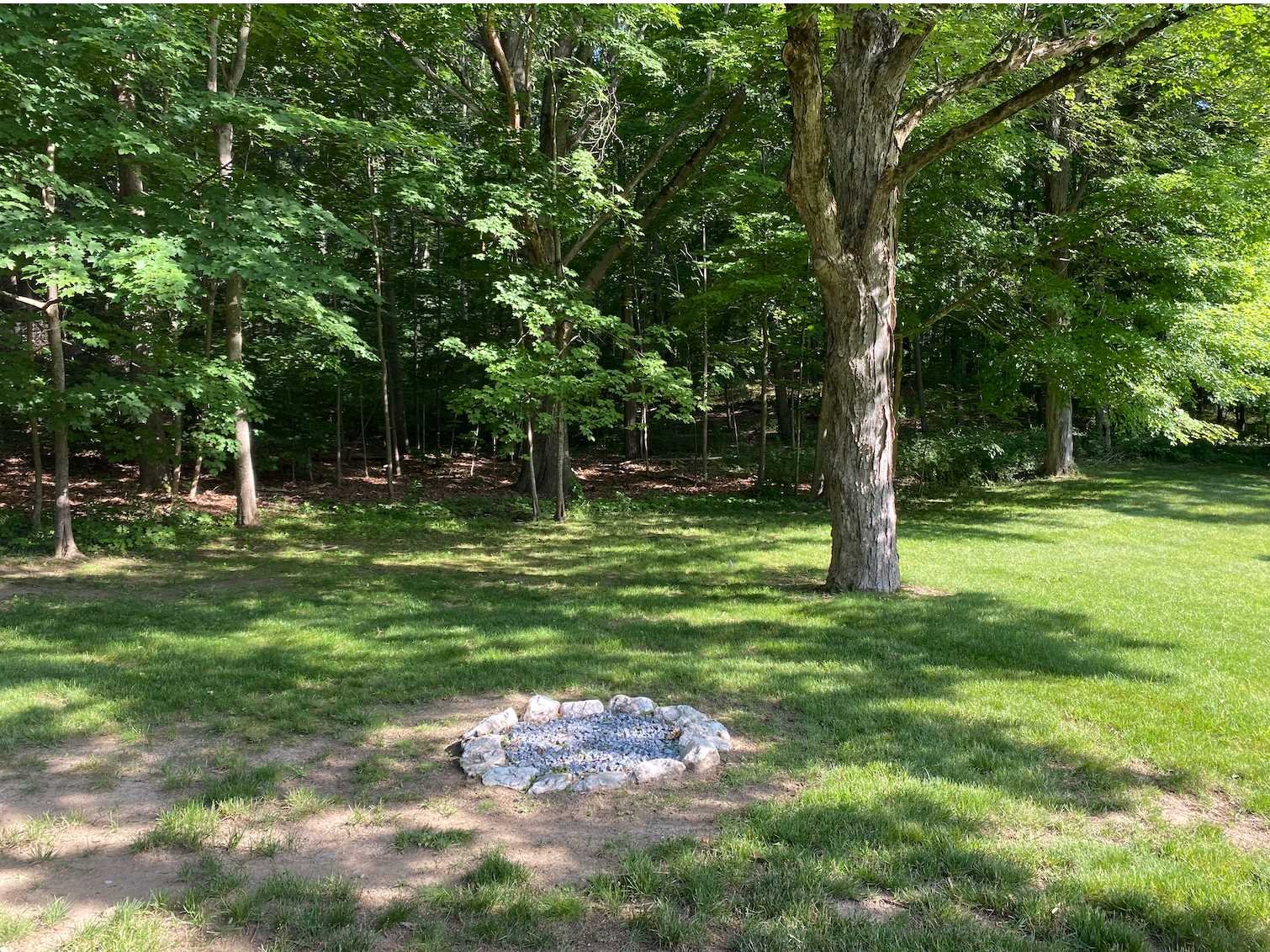 31 Robinson Road Salt Point, NY 12578 - Photo 8 of 27 a view of a tree in a yard