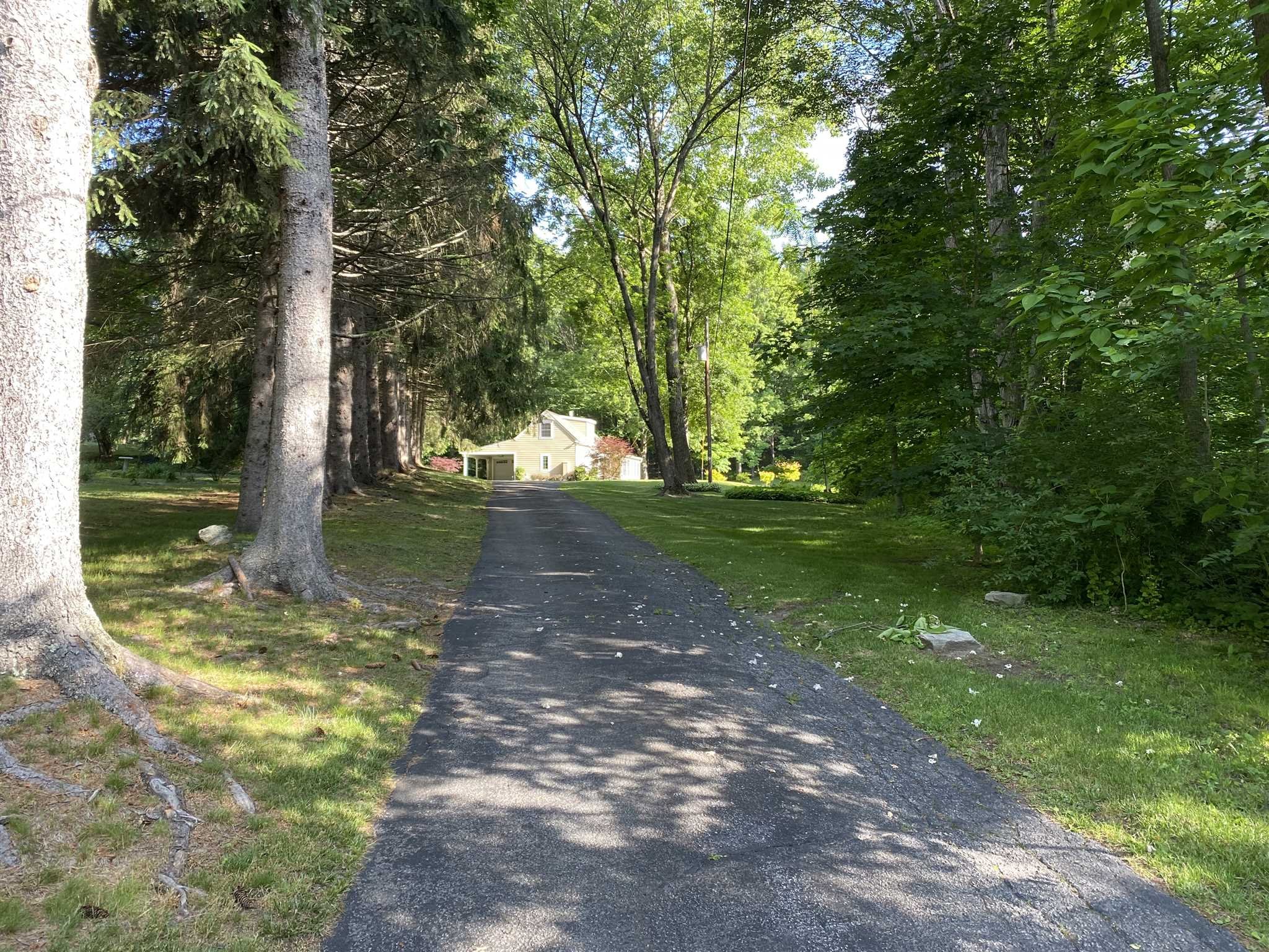 31 Robinson Road Salt Point, NY 12578 - Photo 10 of 27 a view of a yard with trees