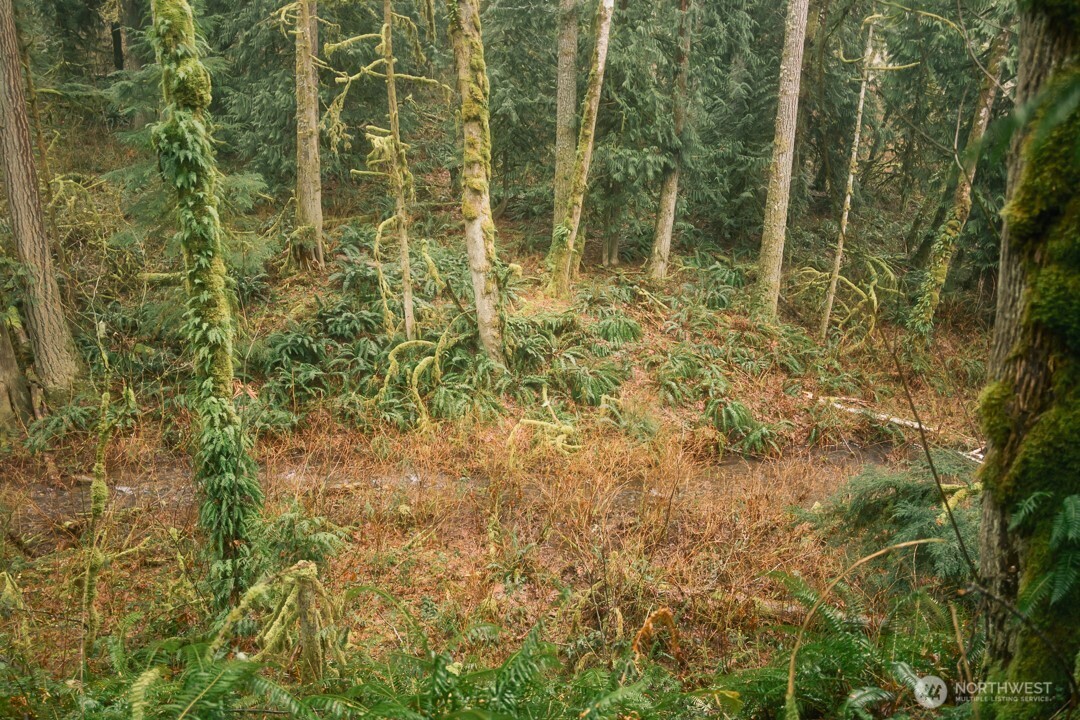 0 Princeton Court Bellingham, WA 98229 - Photo 14 of 38