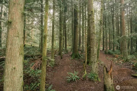 $300,000 | 0 Princeton Court, Bellingham, WA 98229