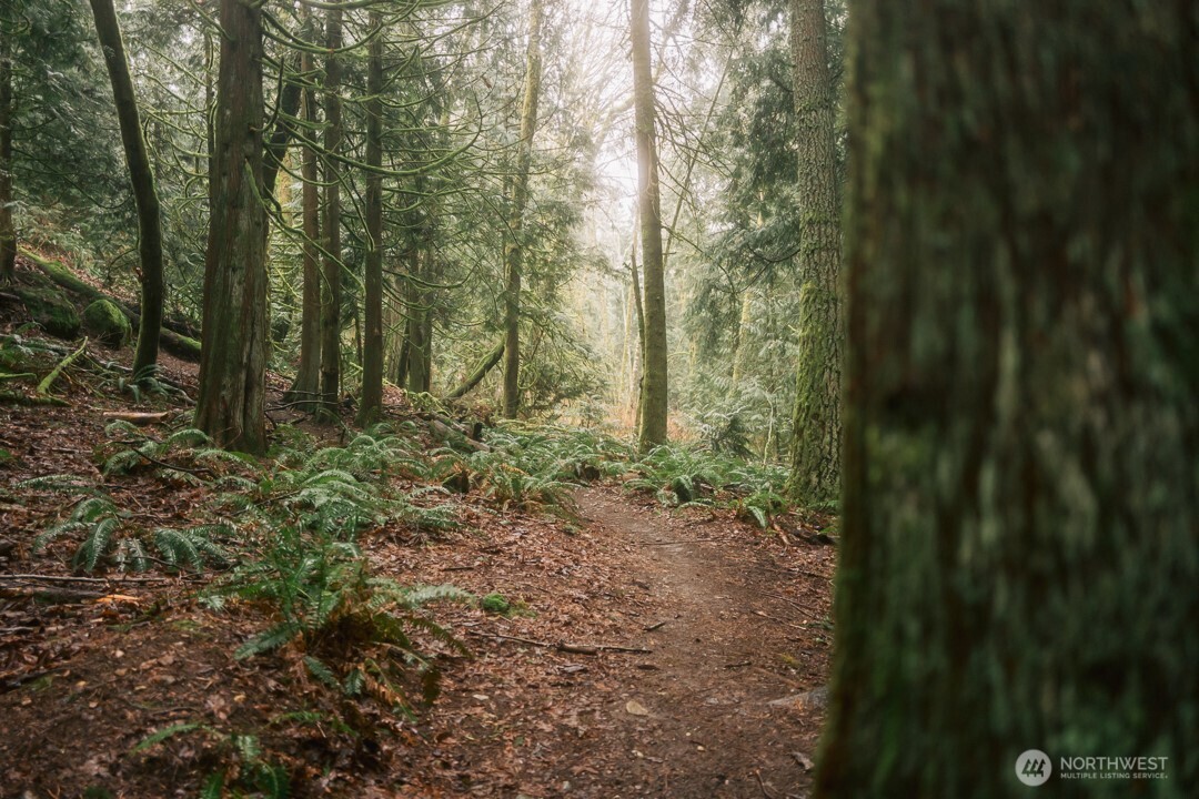 0 Princeton Court Bellingham, WA 98229 - Photo 18 of 38