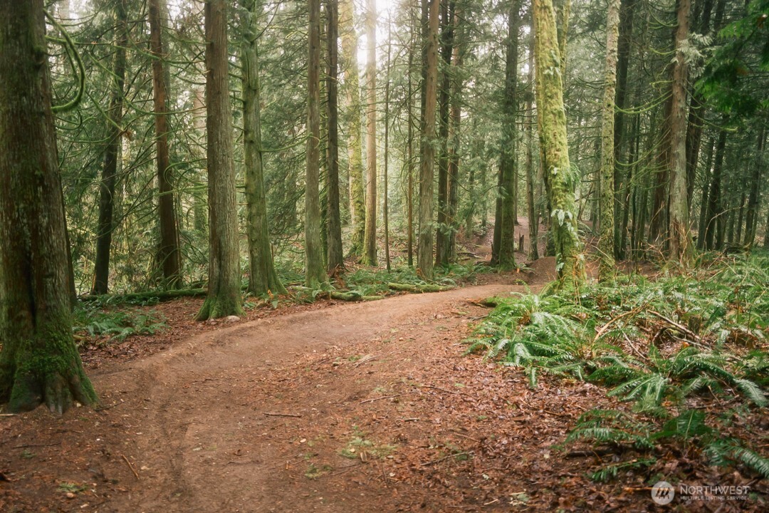 0 Princeton Court Bellingham, WA 98229 - Photo 19 of 38