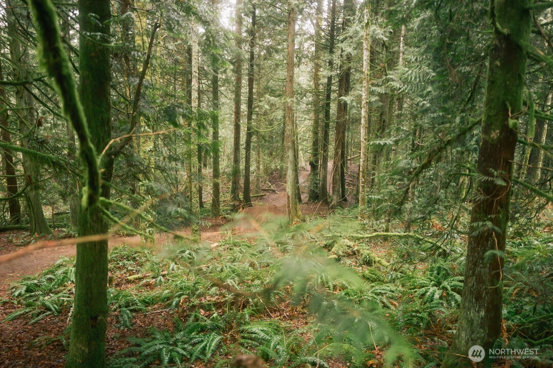 0 Princeton Court Bellingham, WA 98229 - Photo 20 of 38