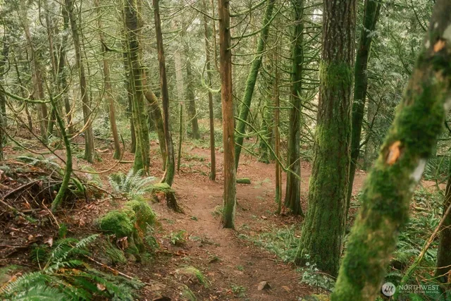 $300,000 | 0 Princeton Court, Bellingham, WA 98229