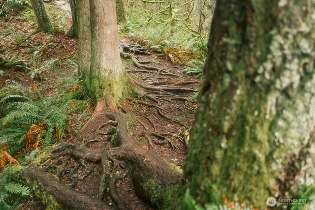 $300,000 | 0 Princeton Court, Bellingham, WA 98229