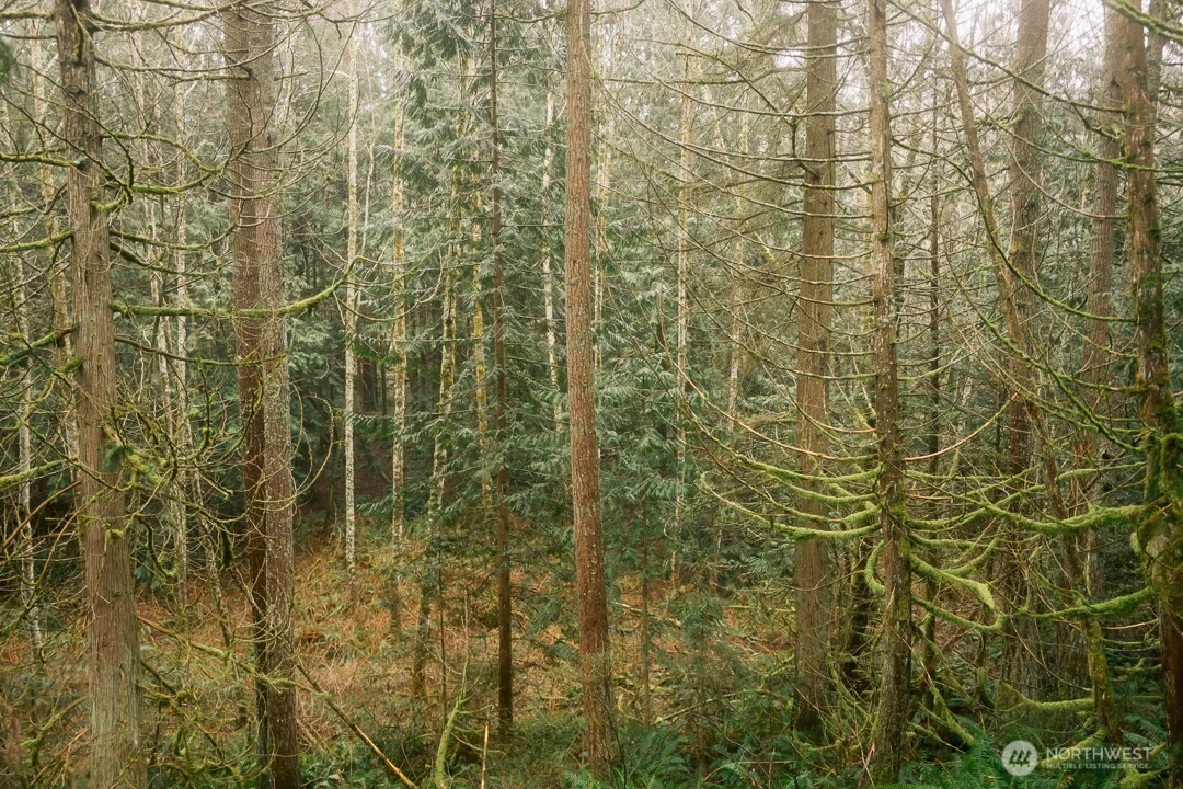 0 Princeton Court Bellingham, WA 98229 - Photo 24 of 38