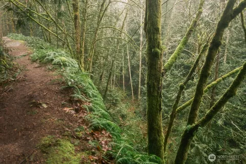 $300,000 | 0 Princeton Court, Bellingham, WA 98229