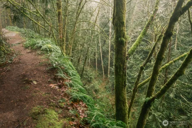 $300,000 | 0 Princeton Court, Bellingham, WA 98229