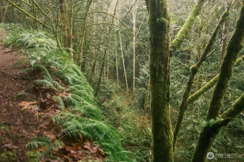 $300,000 | 0 Princeton Court, Bellingham, WA 98229