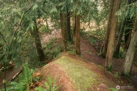 $300,000 | 0 Princeton Court, Bellingham, WA 98229