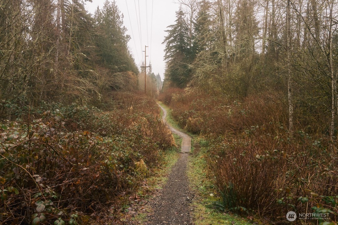 0 Princeton Court Bellingham, WA 98229 - Photo 3 of 38 a view of a yard