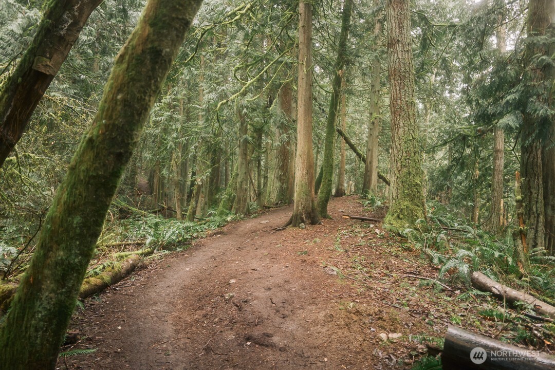 0 Princeton Court Bellingham, WA 98229 - Photo 6 of 38