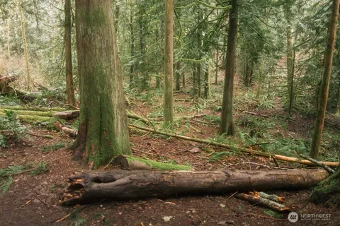 a view of backyard with green space