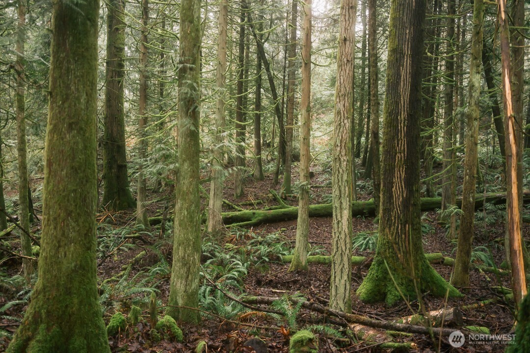 0 Princeton Court Bellingham, WA 98229 - Photo 7 of 38