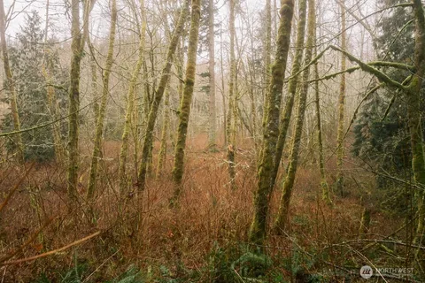 $300,000 | 0 Princeton Court, Bellingham, WA 98229