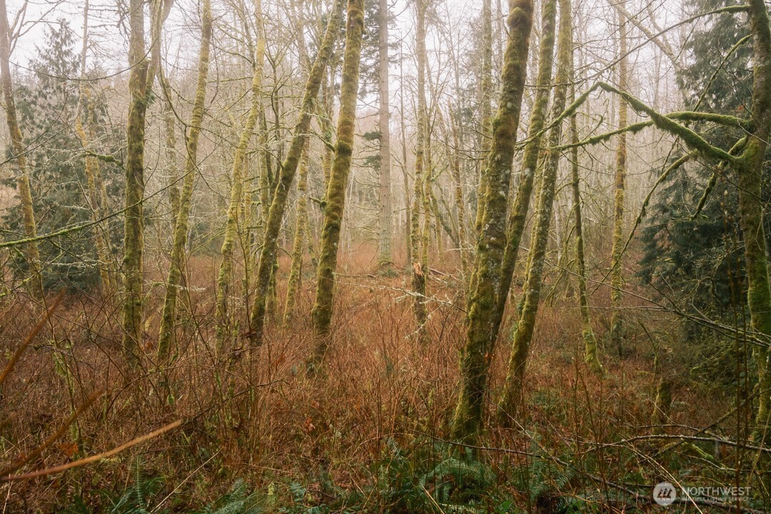 0 Princeton Court Bellingham, WA 98229 - Photo 10 of 38