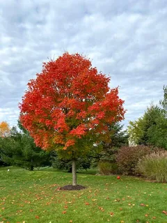 $975,000 | W283N6297 Hibritten Way, Hartland, WI 53029