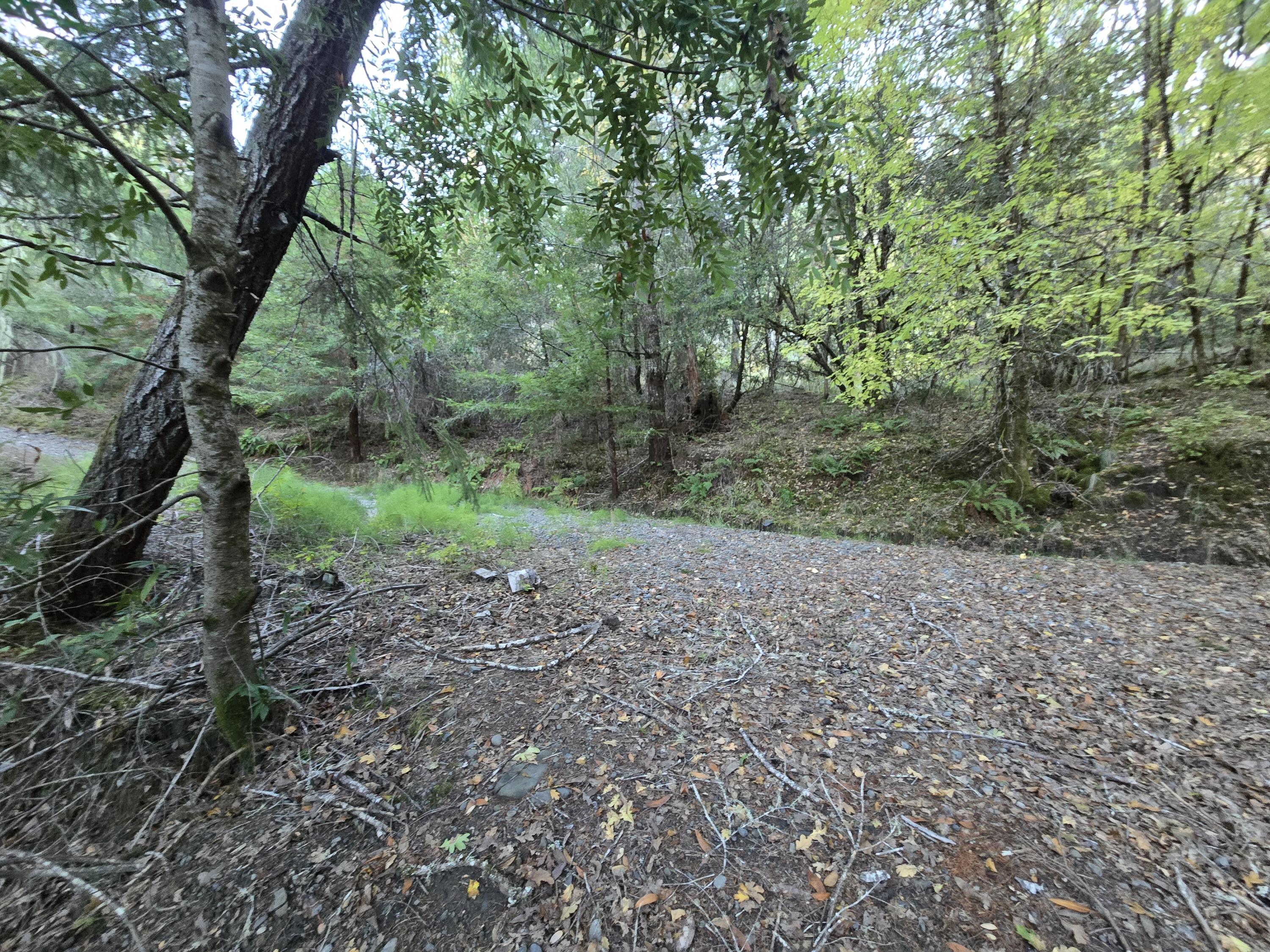 967-1141 Shop Road Redway, CA 95560 - Photo 20 of 23