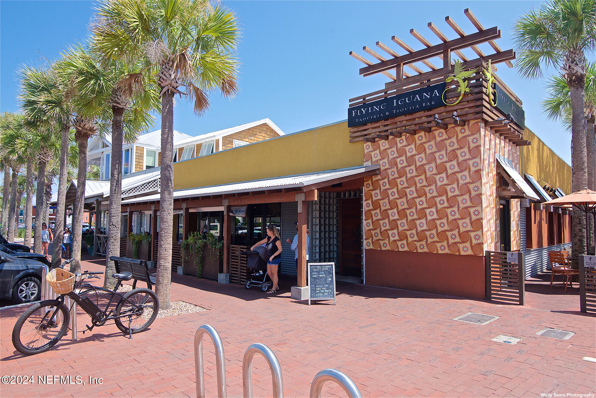 2277 Seminole Road, Unit B Atlantic Beach, FL 32233 - Photo 46 of 48 Flying Iguanas