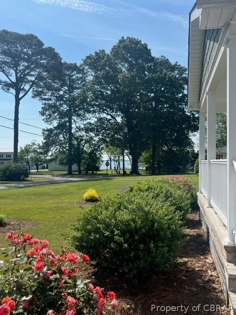 1438 Lafayette Road Gloucester Point, VA 23062 - Photo 30 of 34 View of yard