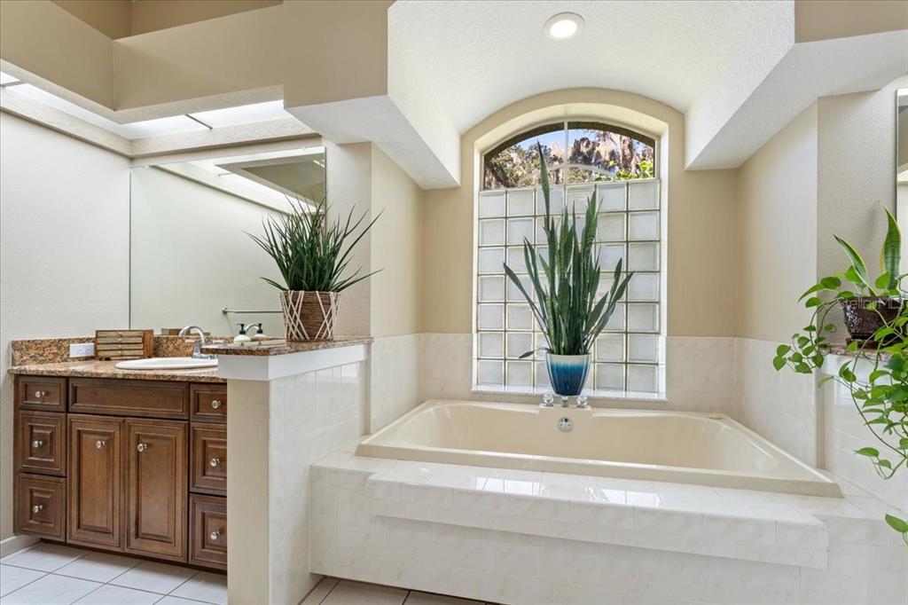 13624 Cooper Road Spring Hill, FL 34609 - Photo 8 of 75 a bathroom with a granite countertop sink a mirror and a potted plant