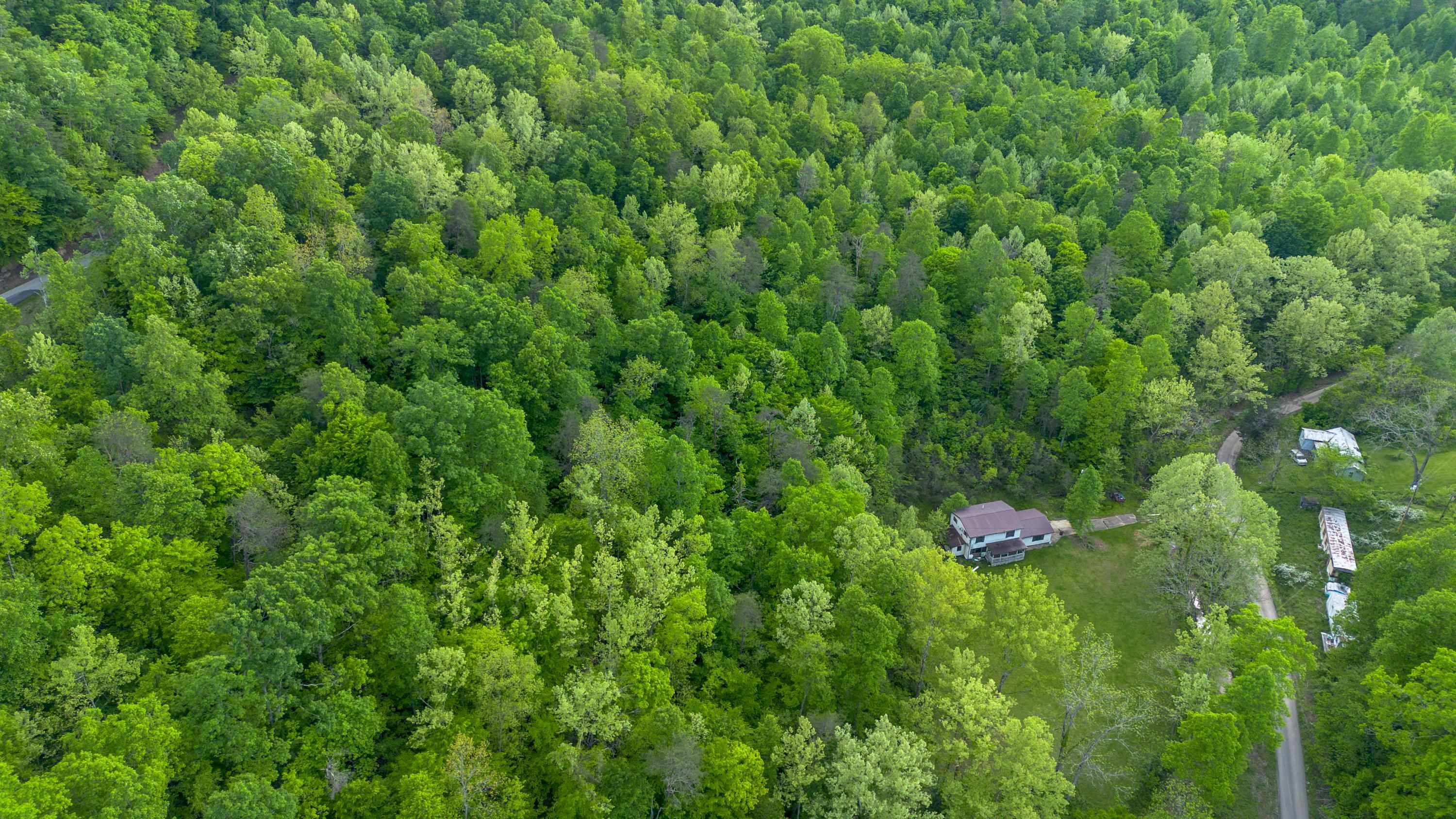 621 Nebo Road Catlettsburg, KY 41129 - Photo 3 of 15 Gallery Image 3