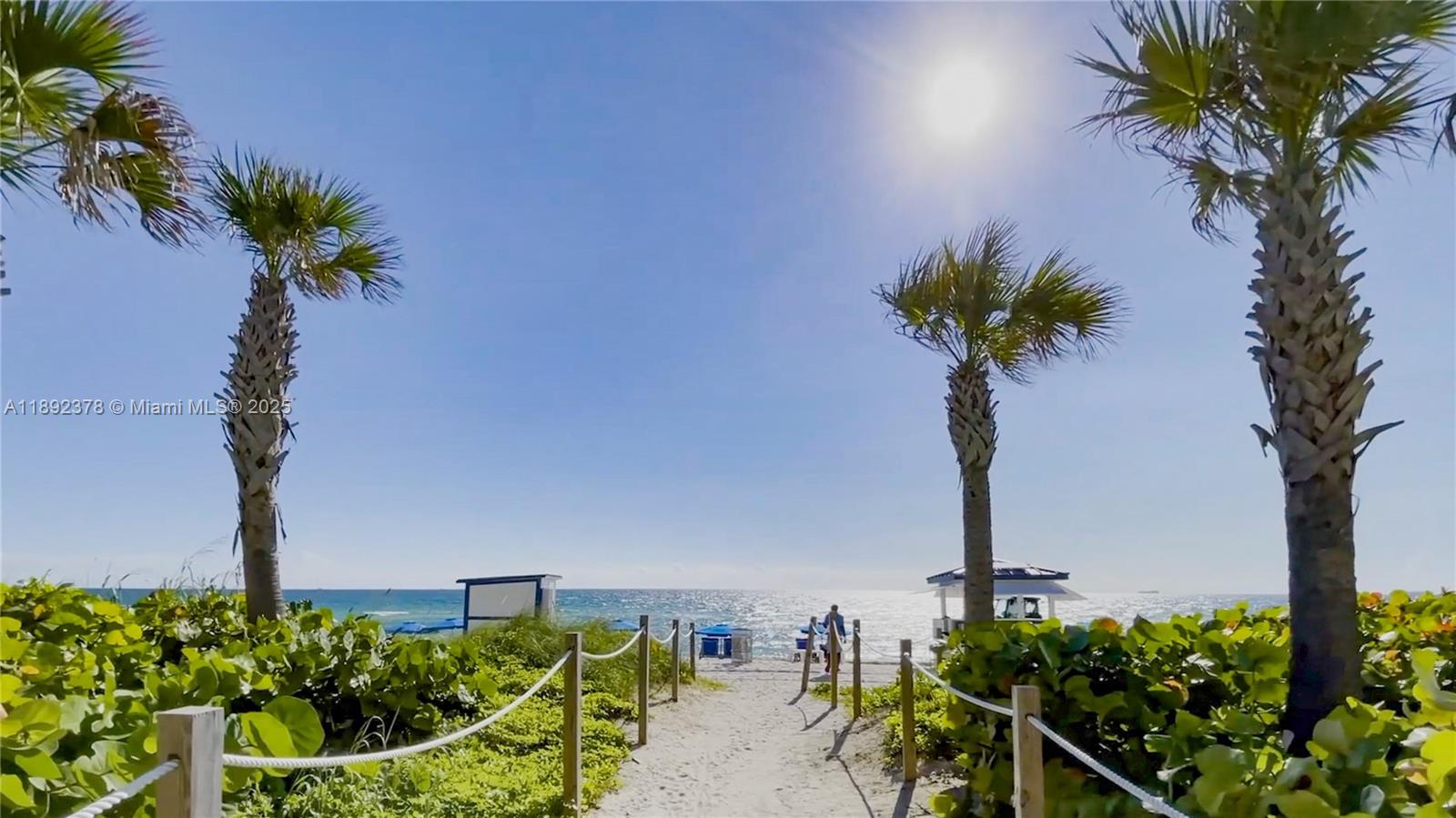 6365 Collins Avenue, Unit 3611 Miami Beach, FL 33141 - Photo 19 of 20 a view of a garden with a tree