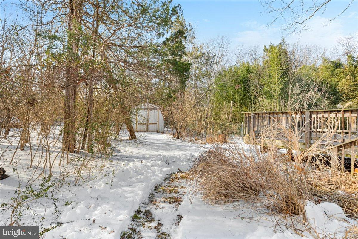 10090 Tyler Lane Midland, VA 22728 - Photo 19 of 27