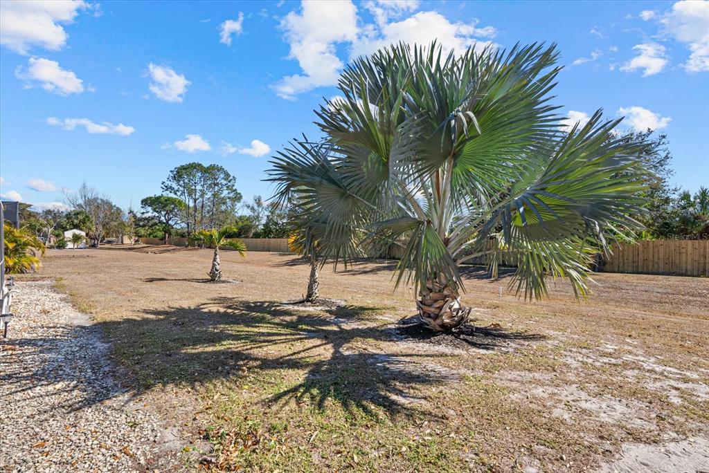 4132 Prairie View Drive Sarasota, FL 34232 - Photo 20 of 24 a view of a backyard of a house