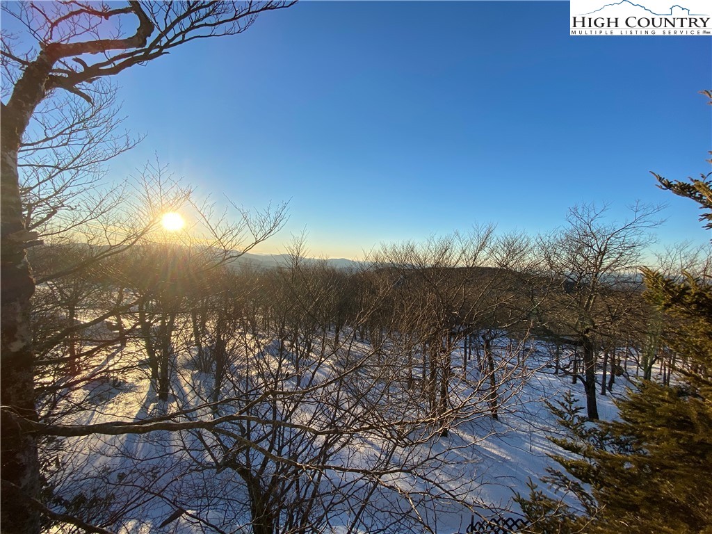 301 Pinnacle Inn Road, Unit 4315 Beech Mountain, NC 28604 - Photo 26 of 33 a view of a yard with a tree
