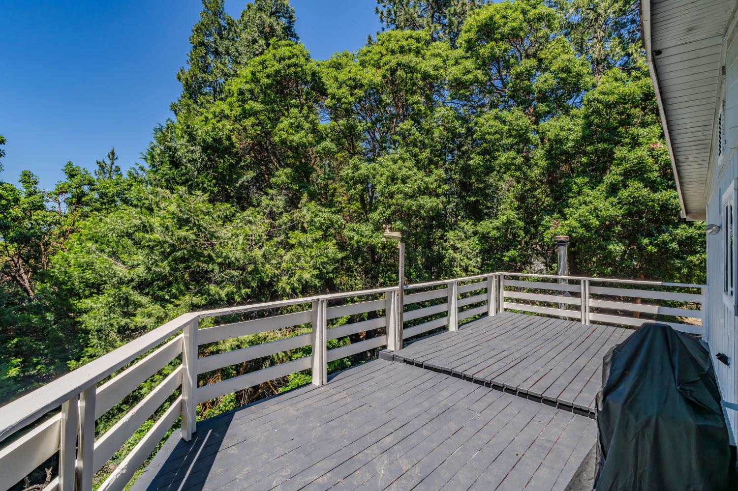 15853 Schaefer Ranch Road Pioneer, CA 95666 - Photo 46 of 68
