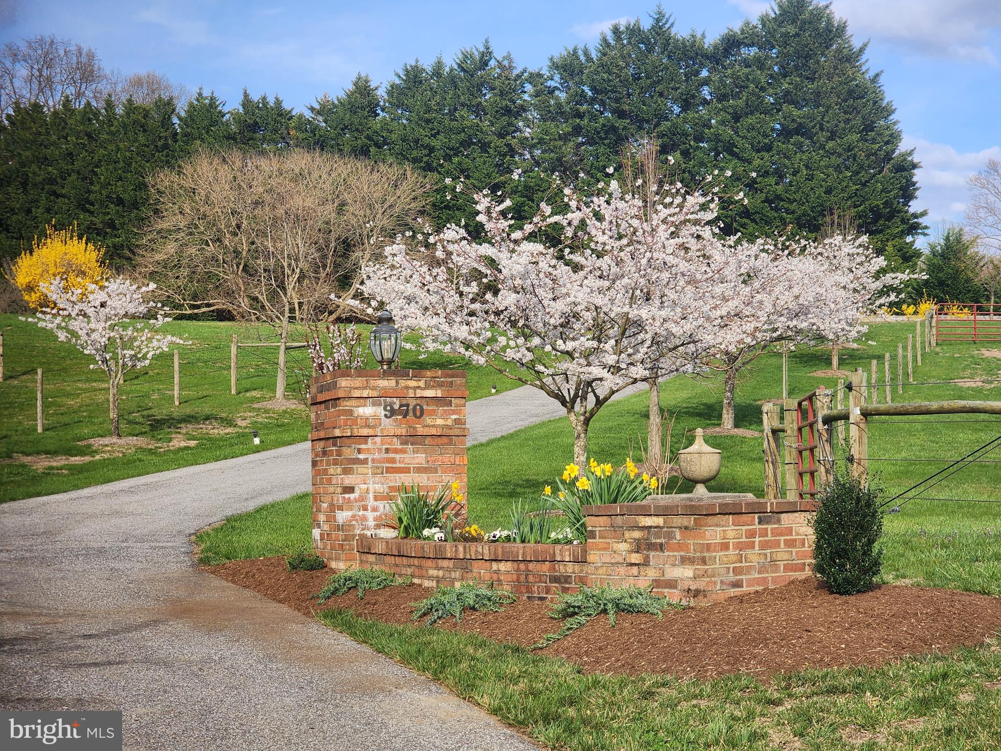 970 St George Barber Road Davidsonville, MD 21035 - Photo 2 of 69 Lovely entrance way lined with cherry trees