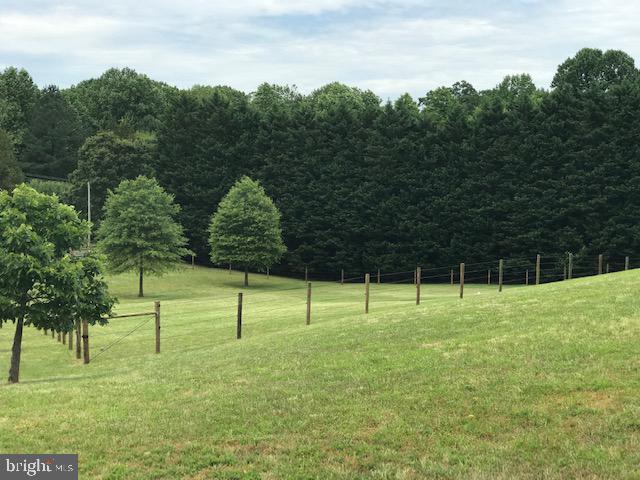970 St George Barber Road Davidsonville, MD 21035 - Photo 61 of 69 a view of park with trees