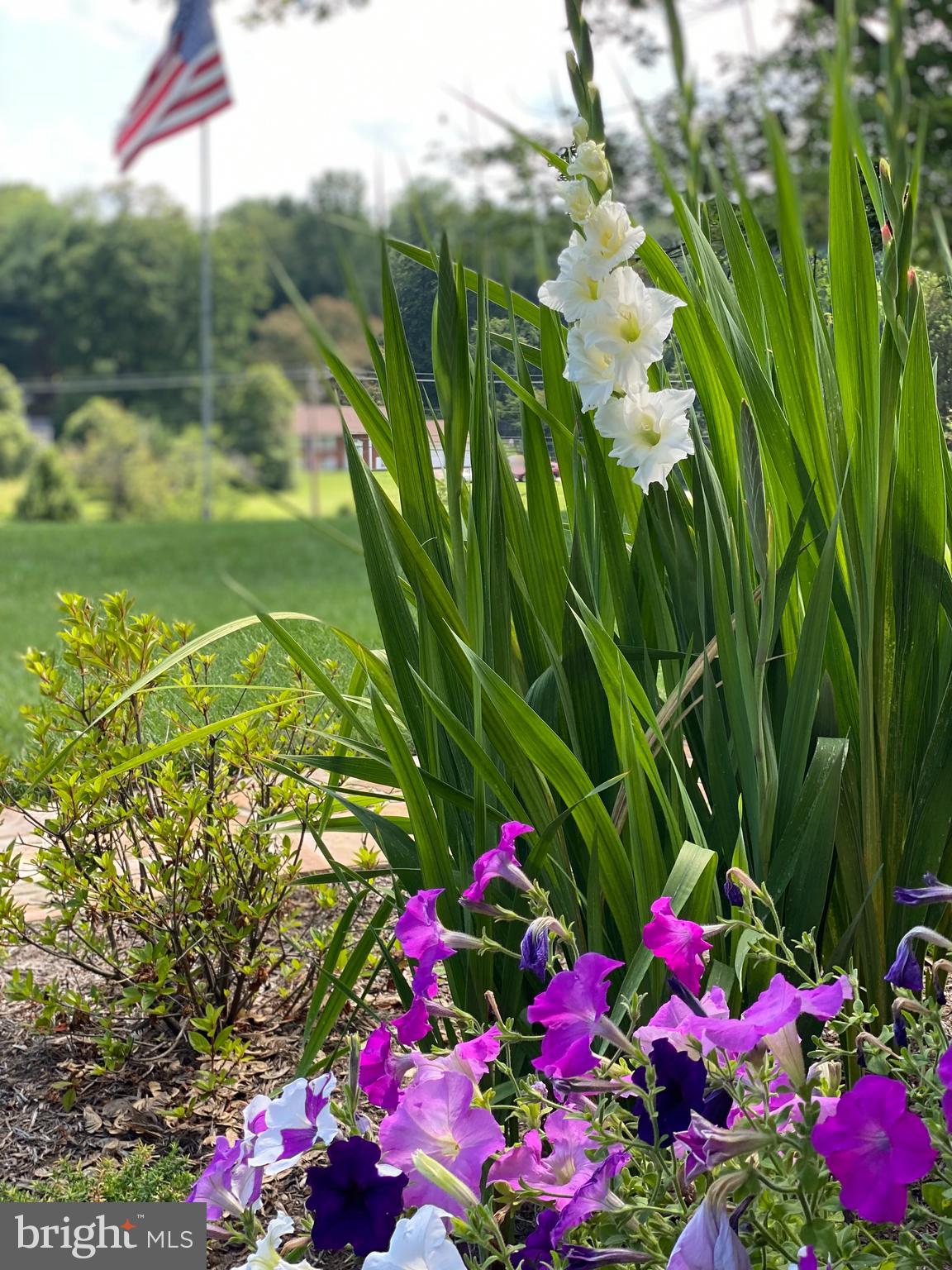 970 St George Barber Road Davidsonville, MD 21035 - Photo 67 of 69 a view of a flower
