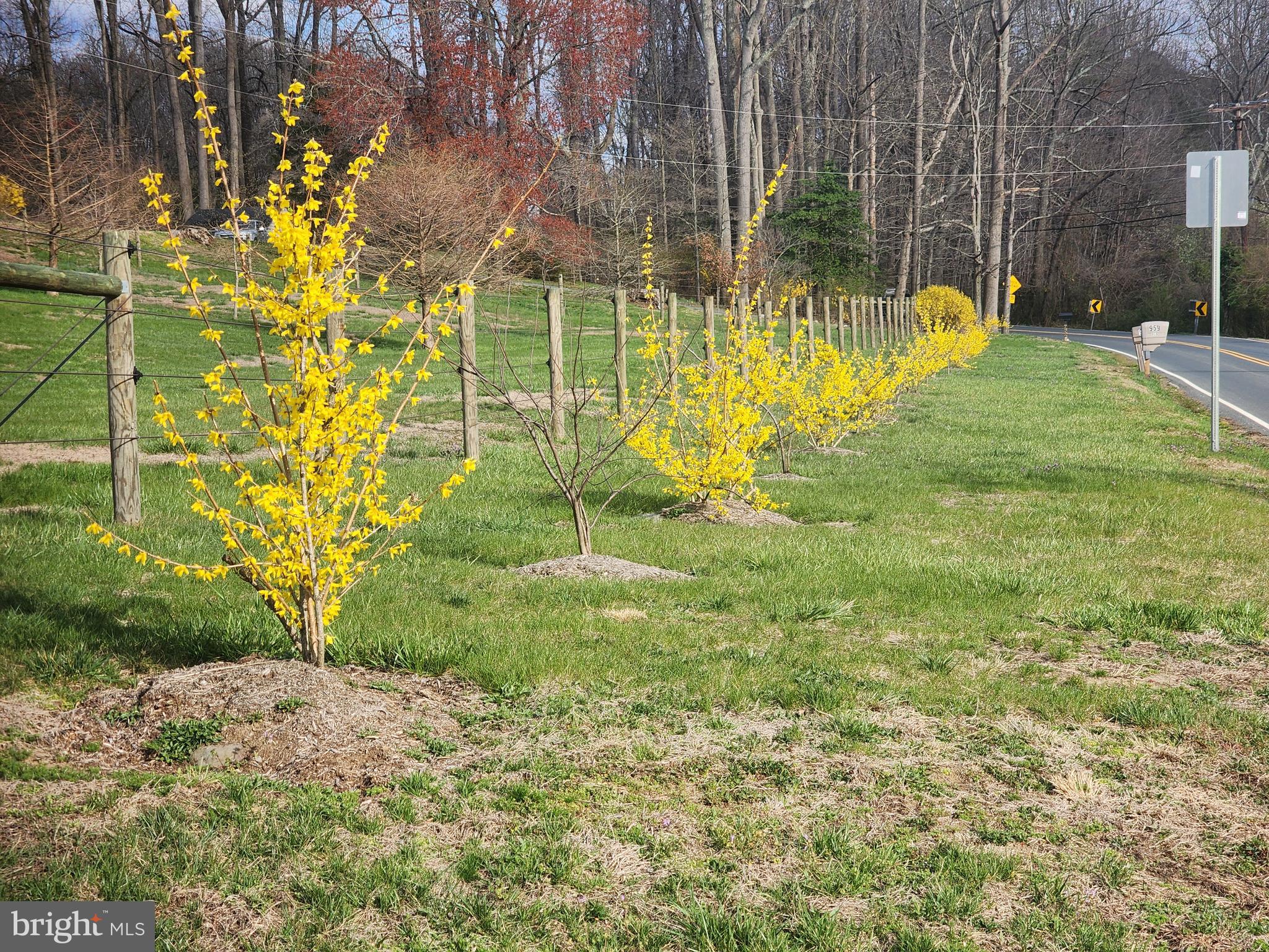 970 St George Barber Road Davidsonville, MD 21035 - Photo 69 of 69 a view of yard with swimming pool and seating space