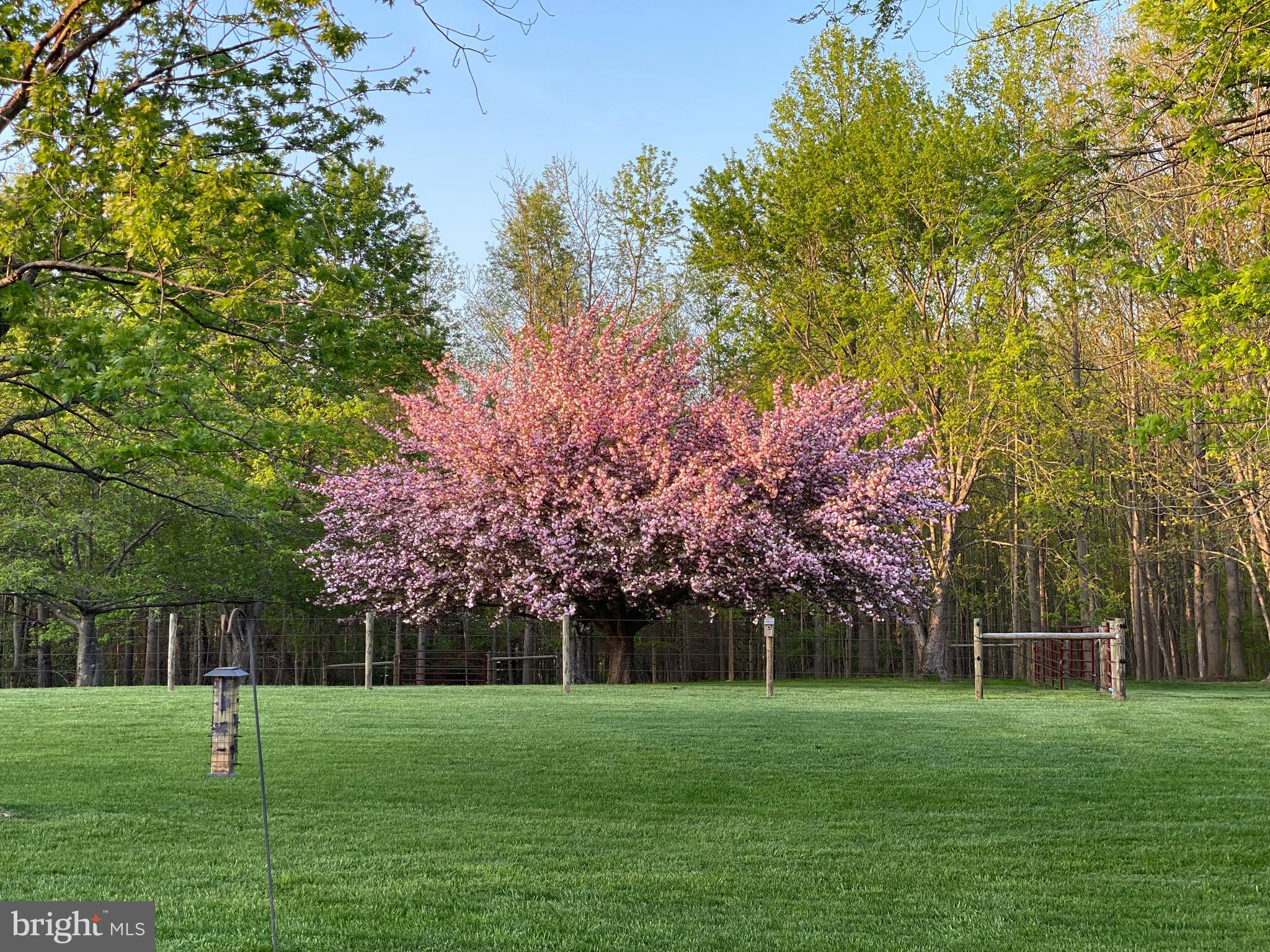 970 St George Barber Road Davidsonville, MD 21035 - Photo 9 of 69 Beautiful plantings thoughtfully sited on property