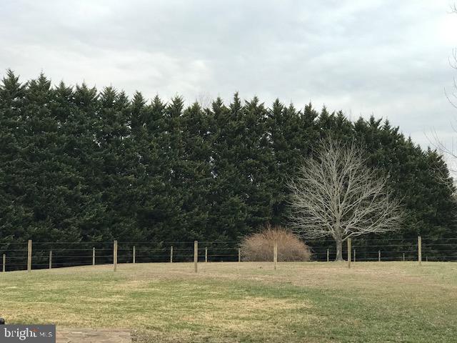 970 St George Barber Road Davidsonville, MD 21035 - Photo 10 of 69 Property protected on 2 sides by 40' privacy trees