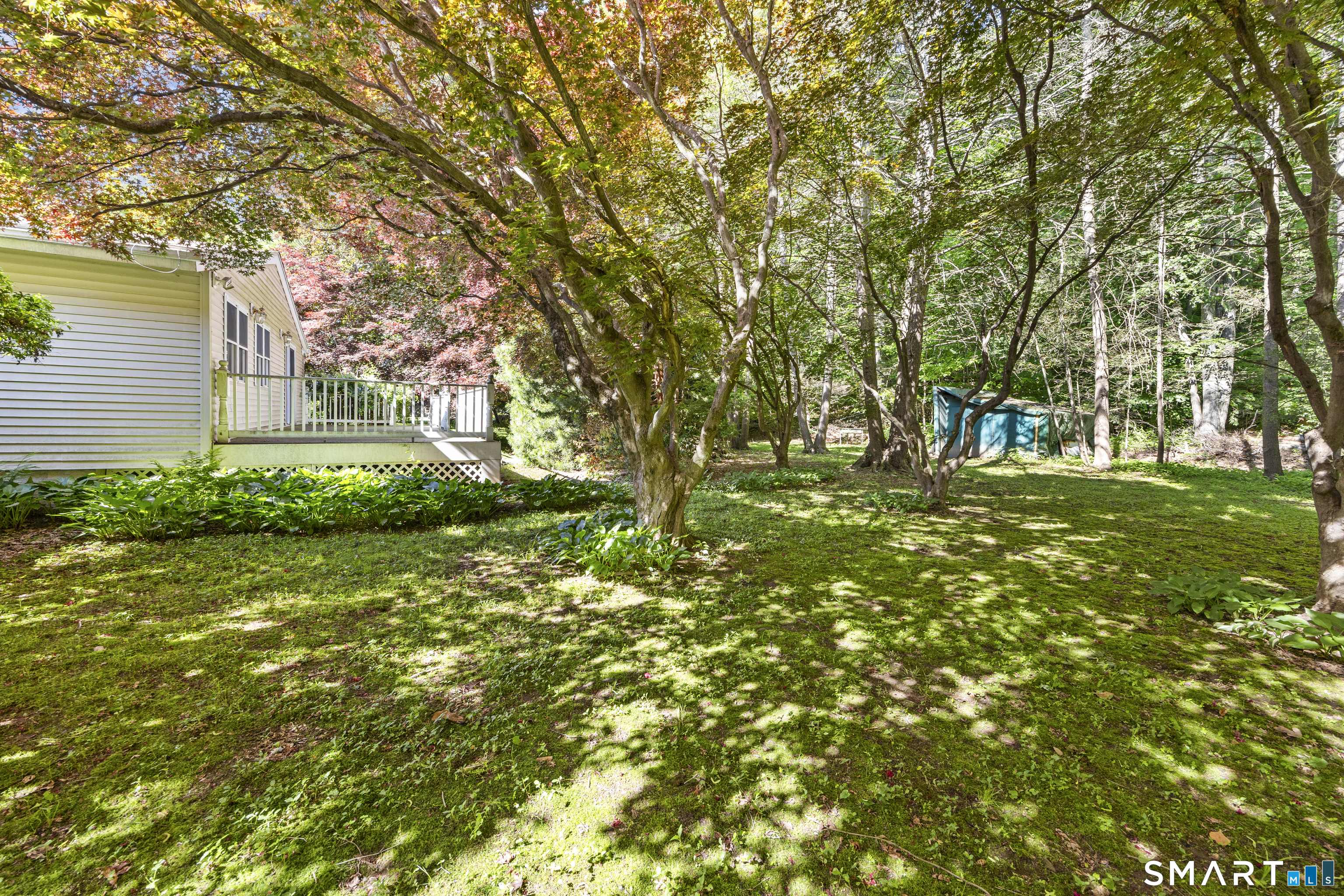205 Mountain Road Cheshire, CT 06410 - Photo 36 of 40