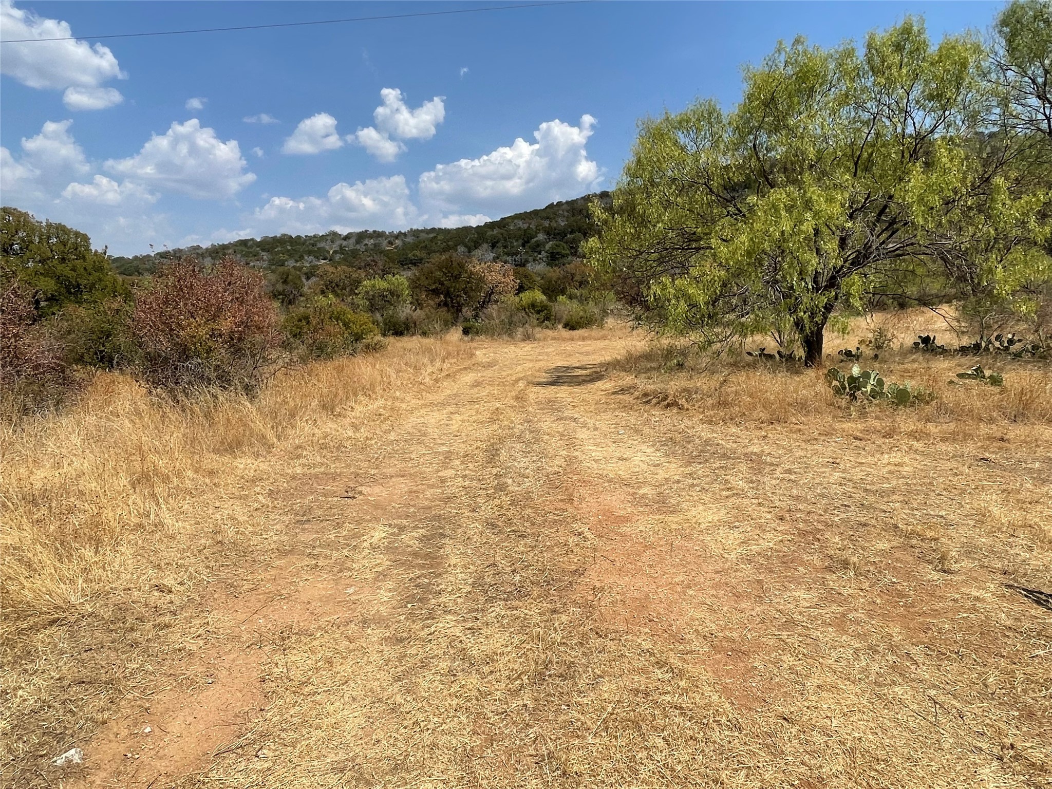 2939 Fm-2342 Road Burnet, TX 78611 - Photo 6 of 28 The trail leading into the ranch from the gate