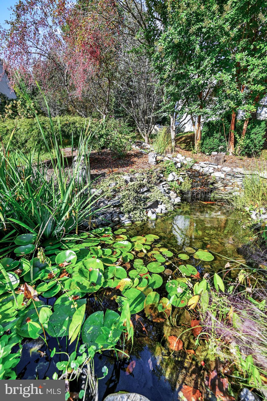 3219 Atlee Ridge Road New Windsor, MD 21776 - Photo 5 of 38 pond in front yard