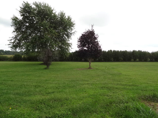 407 Smith Road Crossville, TN 38571 - Photo 16 of 21 backyard