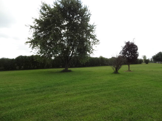 407 Smith Road Crossville, TN 38571 - Photo 17 of 21 back yard